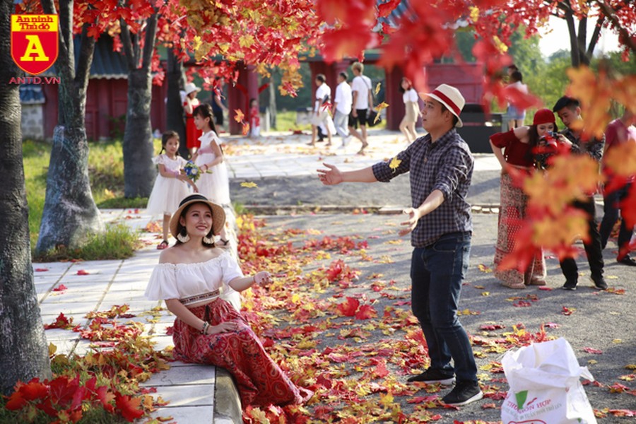 Con đường ngập tràn phong lá đỏ đẹp như phim Hàn Quốc ở Hà Nội